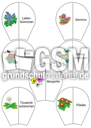 KD-Blumen 2.pdf